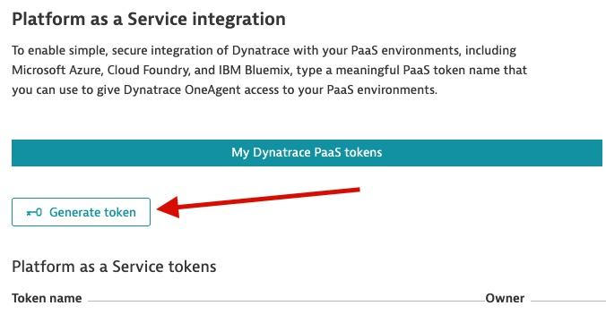Dynatrace Platform as a Service Generate token