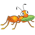 orange-ant-250px