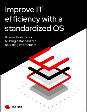 Standardize to improve IT efficiency