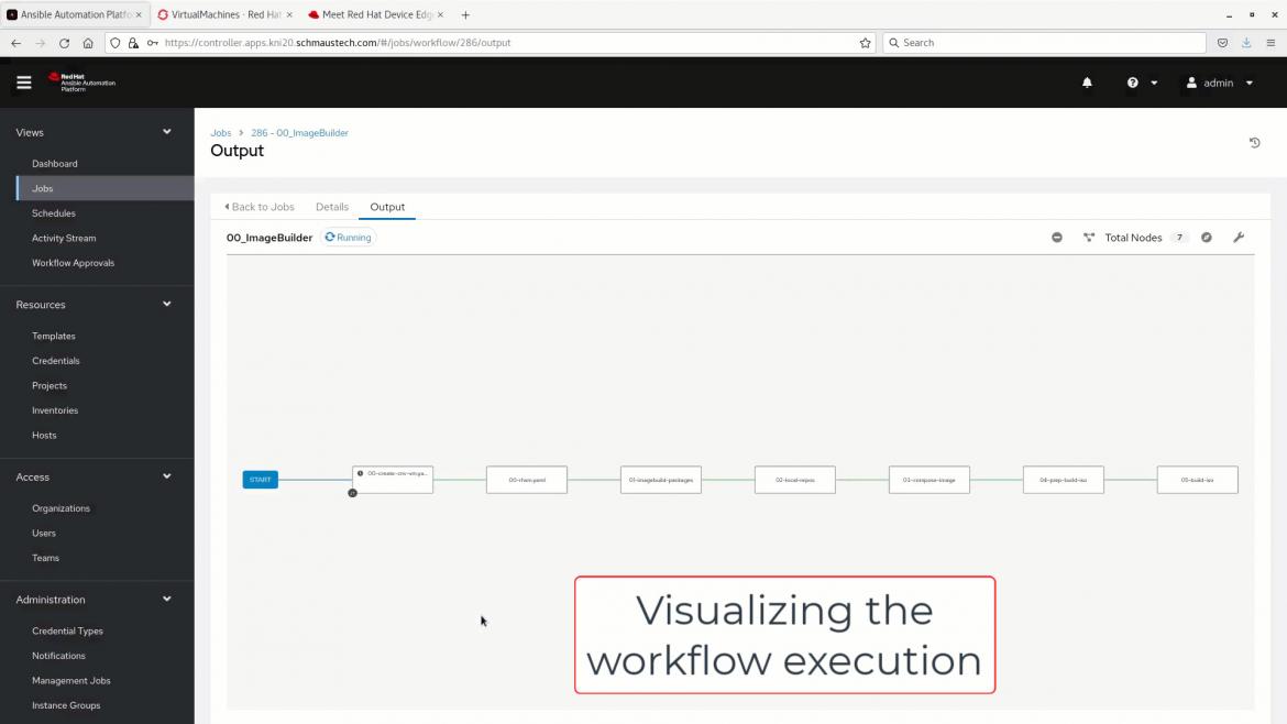 Visualizing the workflow execution
